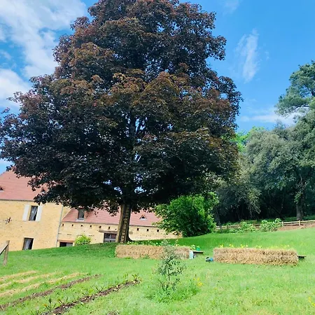 Villa L'Ecrin Des Symes Simeyrols Exterior foto