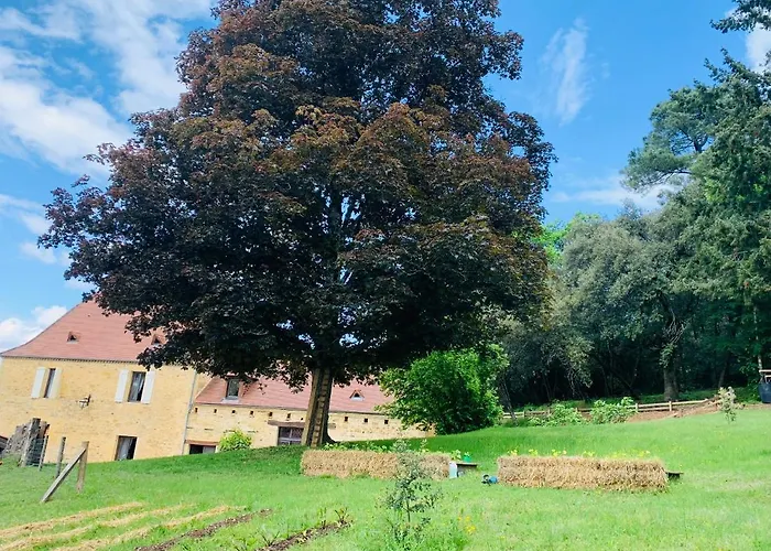 L\'écrin des symes