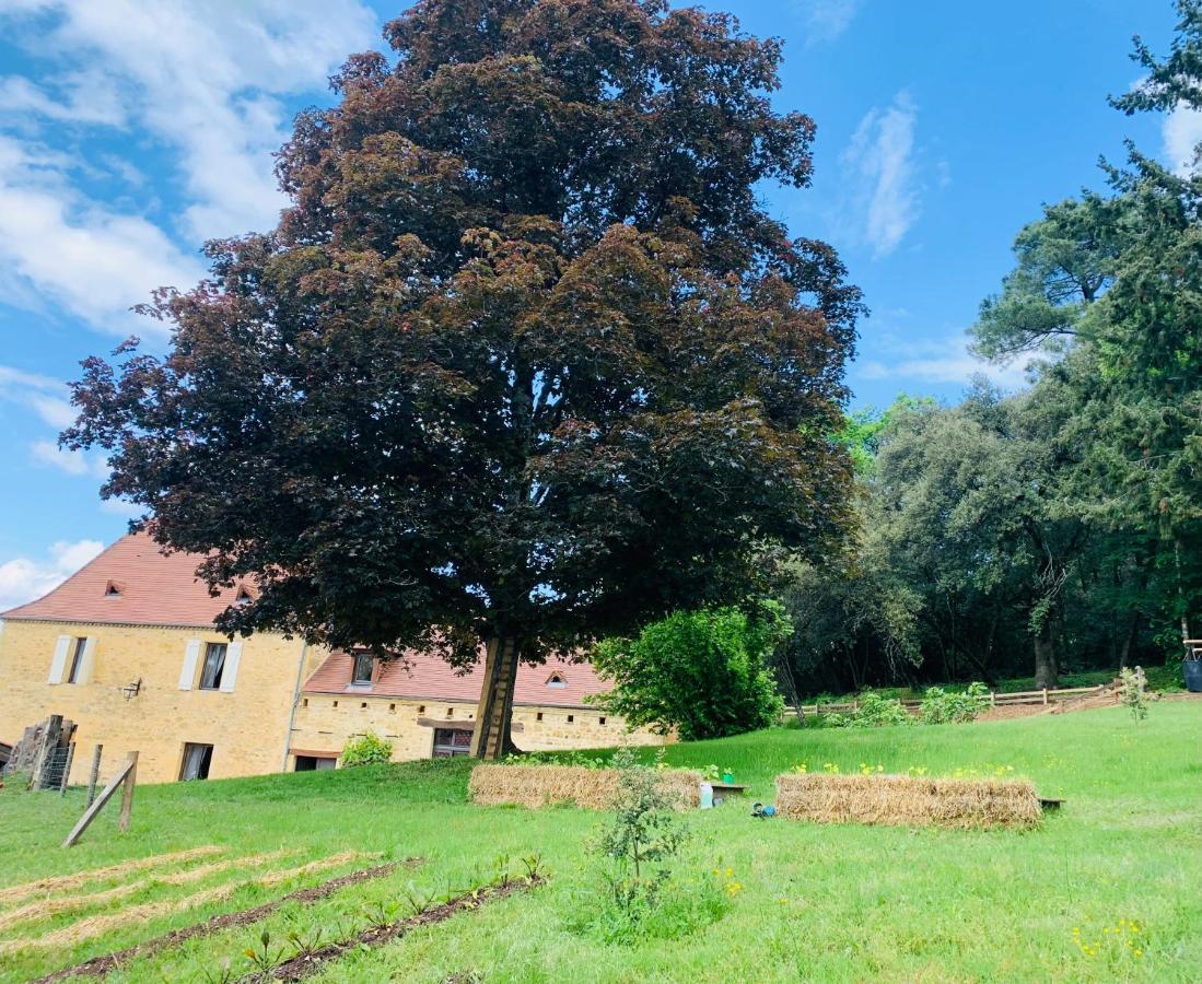 L'ecrin Des Symes Lodge